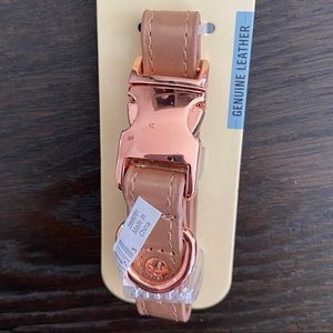 Bond & Company Dog Collar